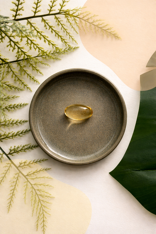 ÓLEO DE PEIXE ÓMEGA 3 1.000 MG